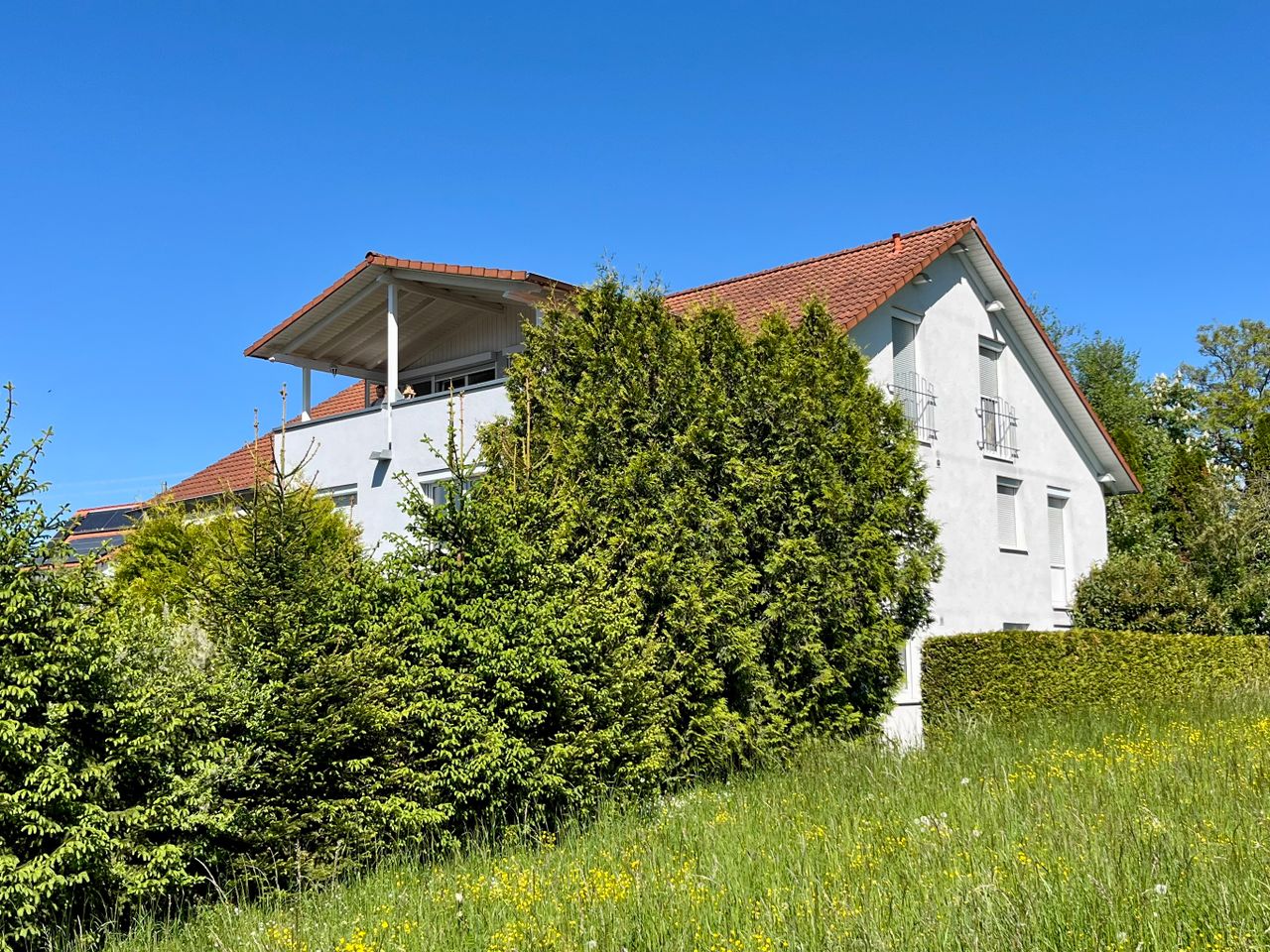 Daniel Zell Immobilien