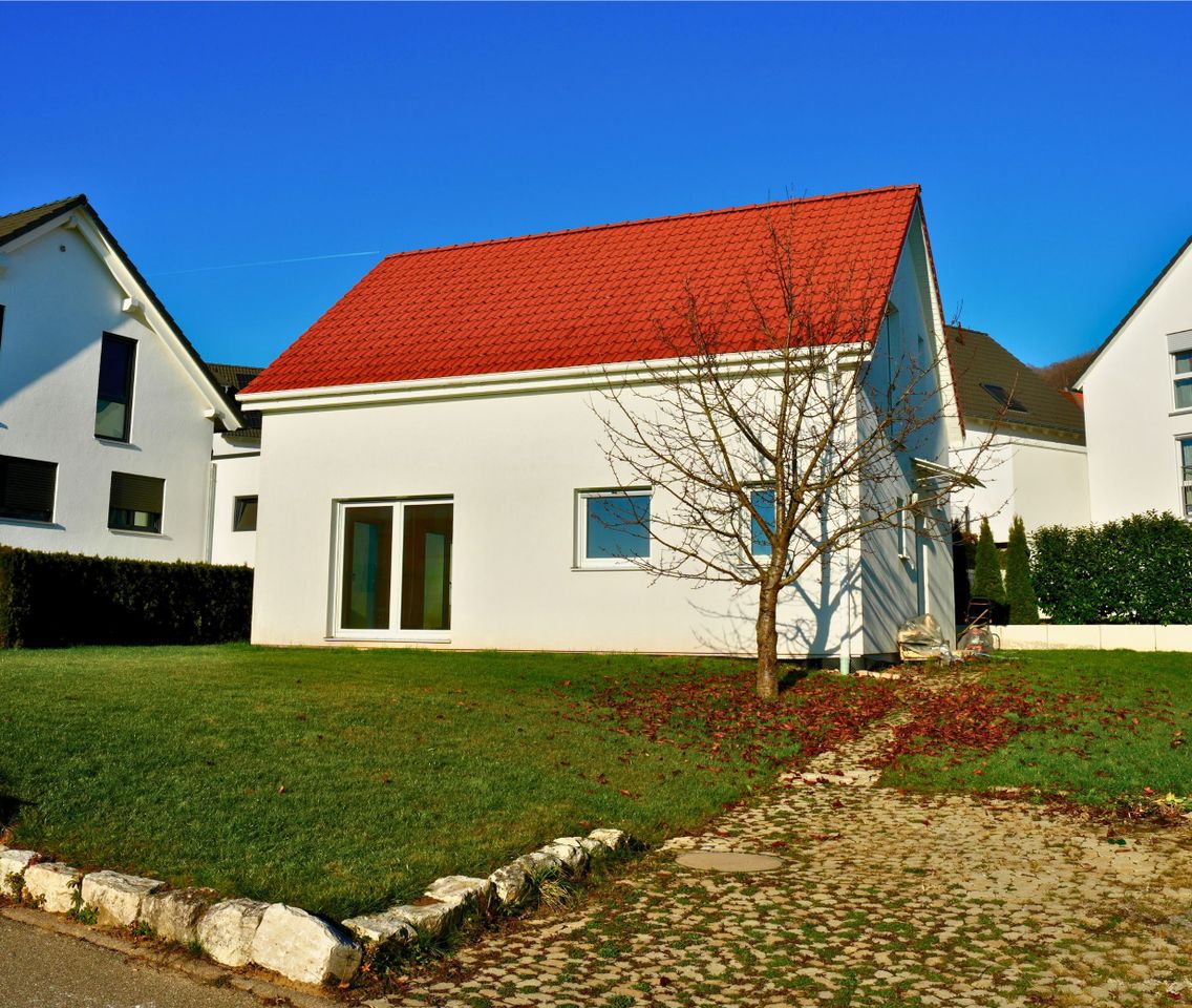 Daniel Zell Immobilien